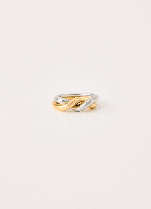 Day & Night Ring - Gold/Silver