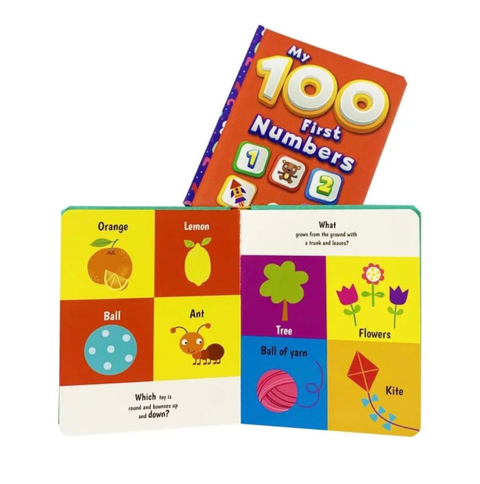My 100 First Words & Numbers Board Set (2 Books)
