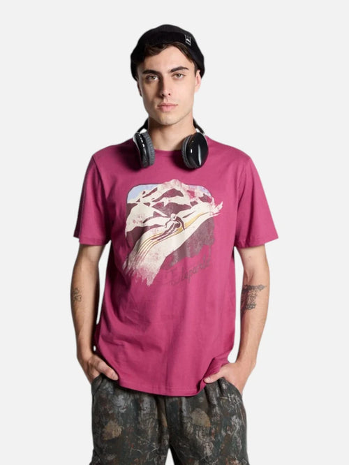 Remera Elepants Snow Park Bordo