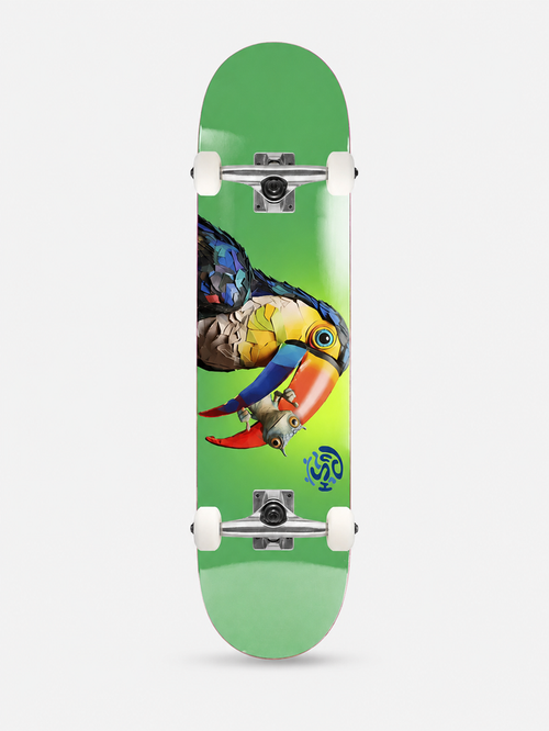 Skate Completo Push Toucan