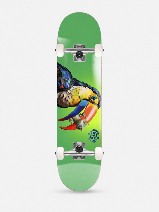 Skate Completo Push Toucan